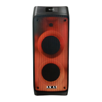 Preview: Akai Party Box 810