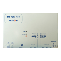 Preview: Alstom DS Agile H38 Series