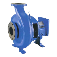 Preview: Peerless Pump 8196 Series