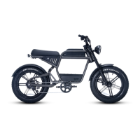 Preview: Ride1up REVV 1