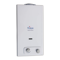 Preview: TTulpe B-6 P37 Eco