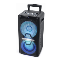 Preview: Muse M-1920 DJ