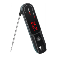 Preview: ThermoPro Lightning TP-622