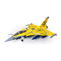 Preview: FMS 80mm Dassault Rafale