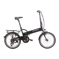 Preview: F.lli Schiano E-Sky 20 Folding