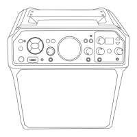 Preview: The Singing Machine SMC3093SP
