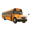 Buses Logo