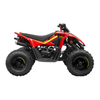 Preview: CF MOTO CFORCE 110