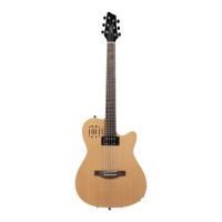 Preview: Godin A6 Ultra