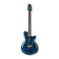 Preview: Godin LGXT
