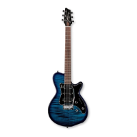 Preview: Godin Solidac