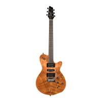 Preview: Godin XTSA