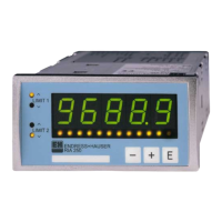 Preview: Endress+Hauser RIA 250