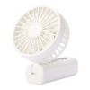 Fan Logo