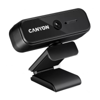 Preview: Canyon C2N