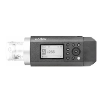 Preview: Godox WITSTRO AD400 Pro