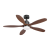 Fan Logo