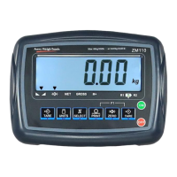 Preview: Avery Weigh-Tronix ZM 110