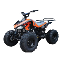 Preview: Tao Motor Cheetah