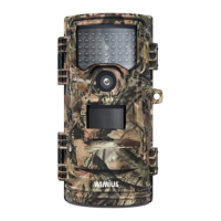 Preview: Wimius H7
