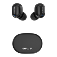 Preview: Aiwa EBTW-150