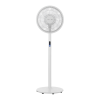 Fan Logo