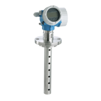 Preview: Endress+Hauser Levelflex FMP55
