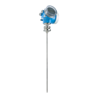 Preview: Endress+Hauser Levelflex FMP53