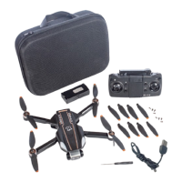 Preview: Rage STINGER GPS