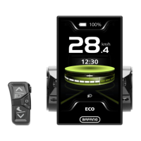 Preview: BAFANG DP C010.CB