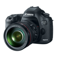 Preview: Canon EOS 5D Mark III