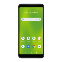 Preview: Cricket SL101AE