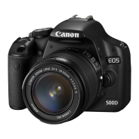 Preview: Canon EOS Rebel T1i
