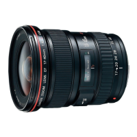 Preview: Canon EF 17-40mm f/4L USM
