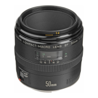 Preview: EF 50mm f/2.5 Compact Macro