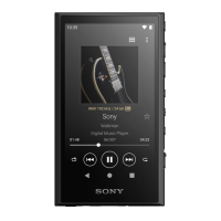 Preview: Sony WALKMAN NW-A306