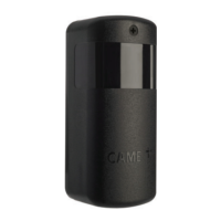 Preview: CAME DXR20CAP