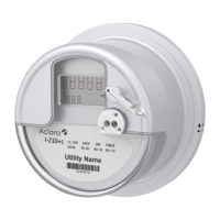 Preview: Aclara RF Electric I-210+c