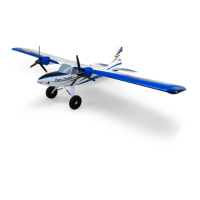 Preview: E-flite Twin Timber