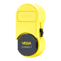 Preview: Vega VEGACONNECT