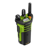 Preview: Motorola XVE500 IMPRES