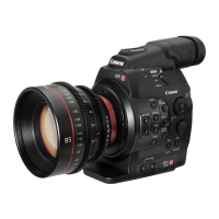 Preview: Canon EOS C300