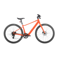 Preview: Velotric Thunder 1 ST