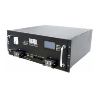 Preview: LEOCH LFeLi-48100MB15