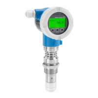Preview: Endress+Hauser Micropilot FMR60B