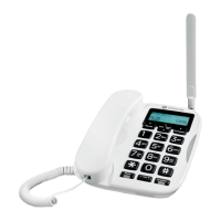 Preview: Motorola FW500