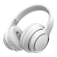 Preview: Brookstone ISOLATENX