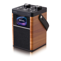 Preview: ROXEL DAB RADIO VOGUE