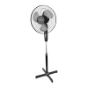 Fan Logo