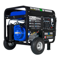 Preview: DUROMAX DUAL FUEL XP10000EH
